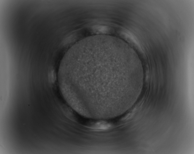 X0000092210173200709210956