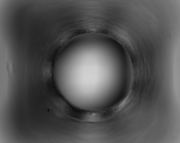 X0000092210174200709210956