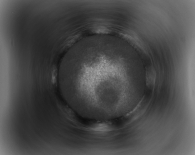 X0000092210175200709210956