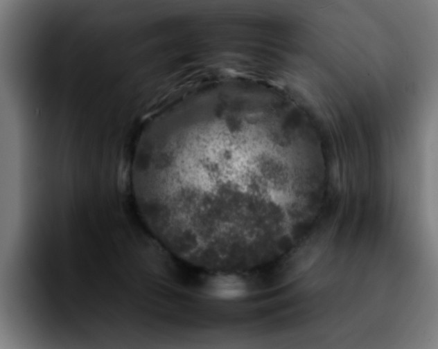 X0000092210177200709210956