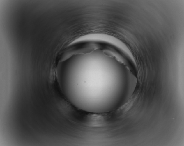 X0000092210180200709210956