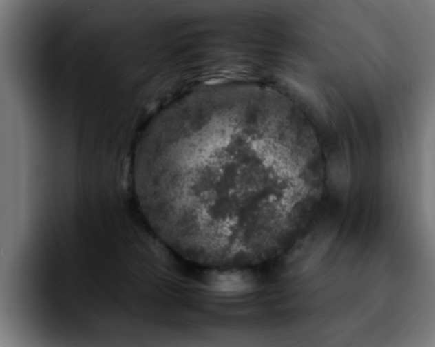 X0000092210181200709210956