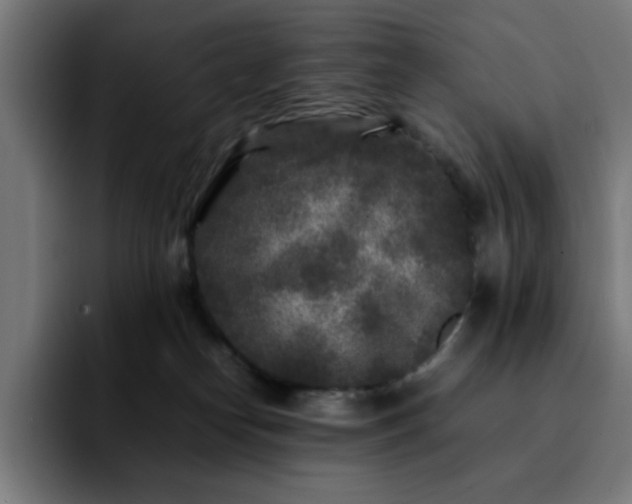 X0000092210182200709210956