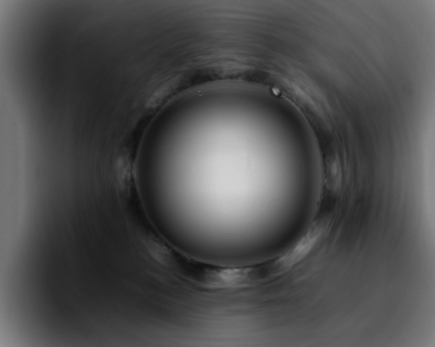 X0000092210184200709210956