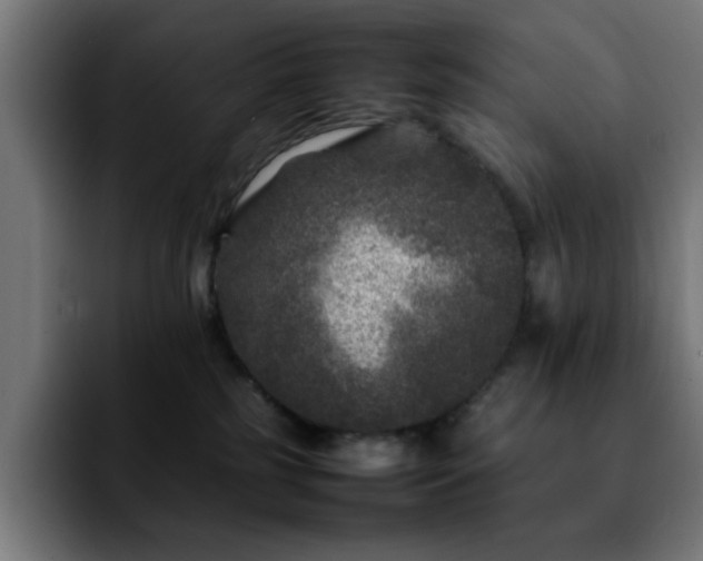 X0000092210185200709210956