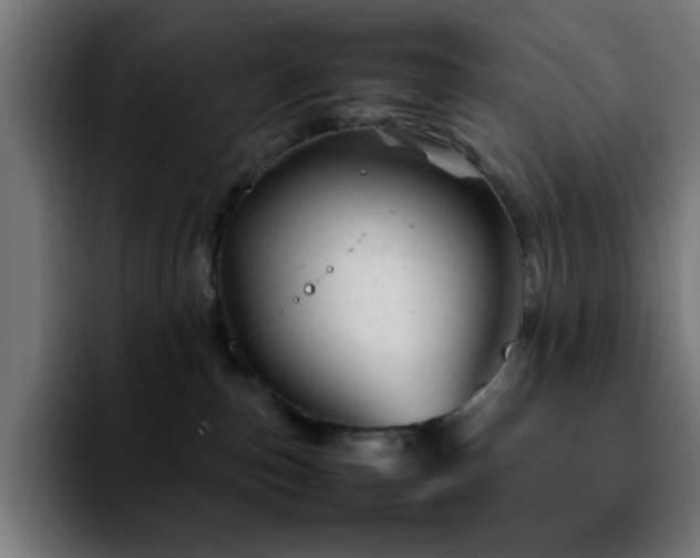 X0000092210187200709210956