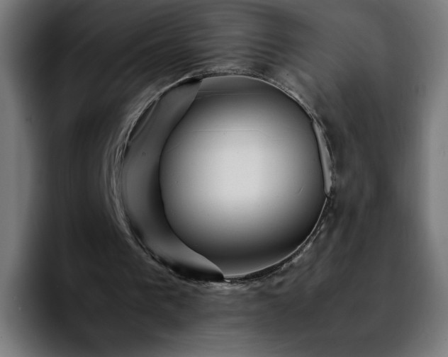 X0000092210193200709210956