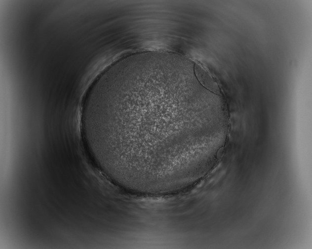 X0000092210194200709210956