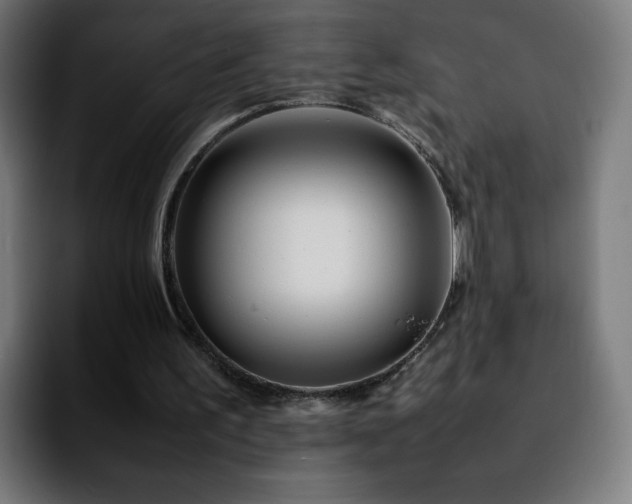 X0000092210195200709210956