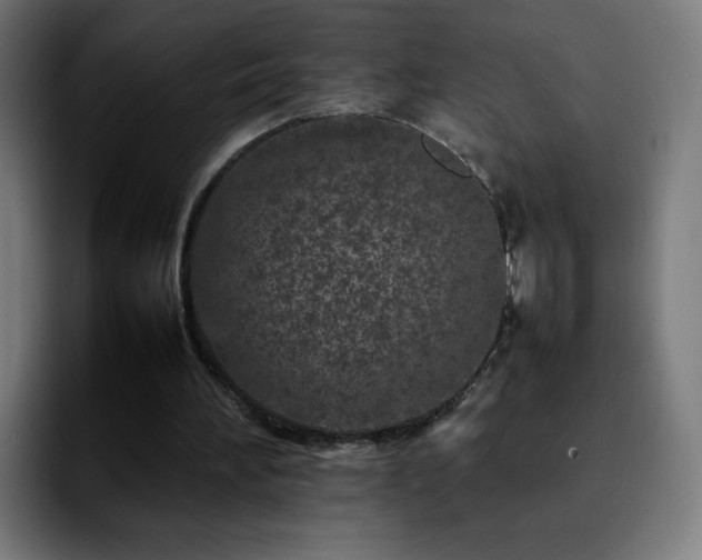 X0000092210196200709210956