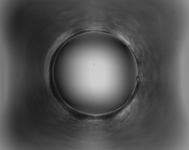 X0000092210199200709210956