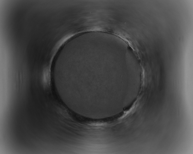 X0000092210200200709210956