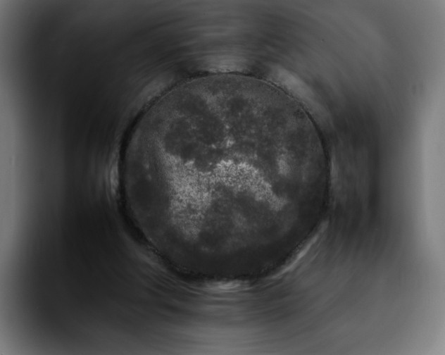 X0000092210202200709210956