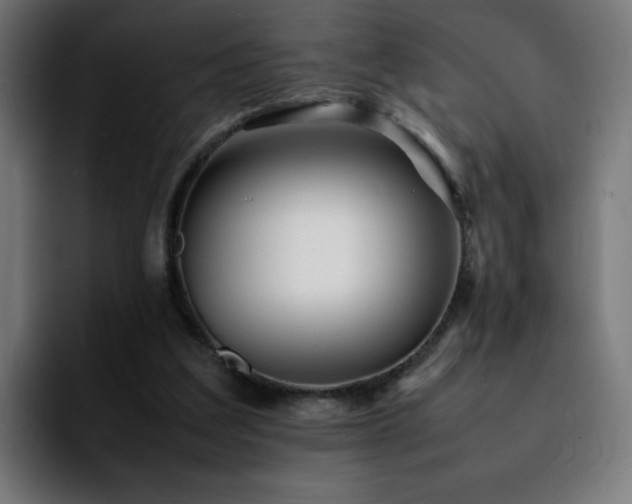 X0000092210203200709210956