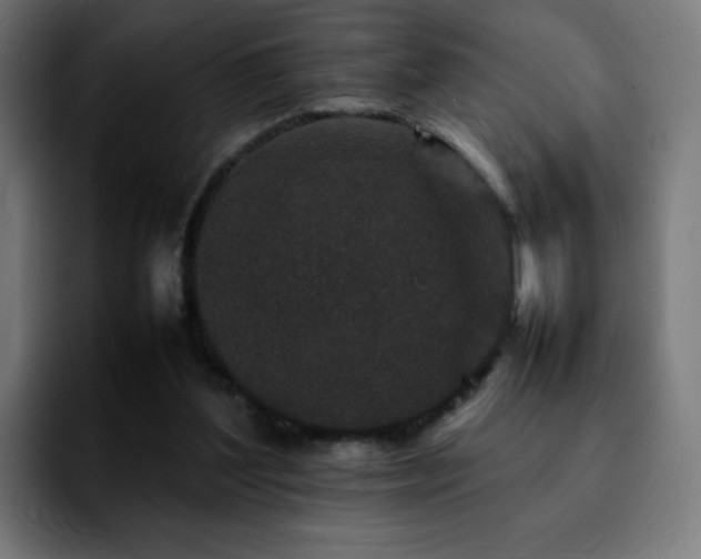 X0000092210204200709210956