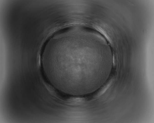 X0000092210205200709210956