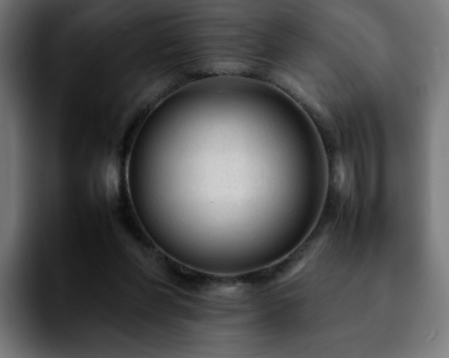 X0000092210206200709210956