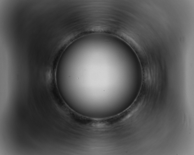 X0000092210208200709210956