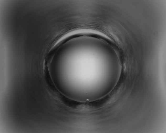 X0000092210211200709210955