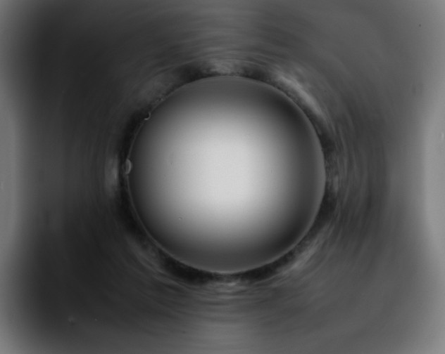 X0000092210213200709210955