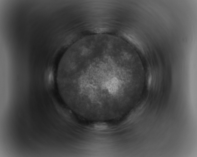 X0000092210214200709210955