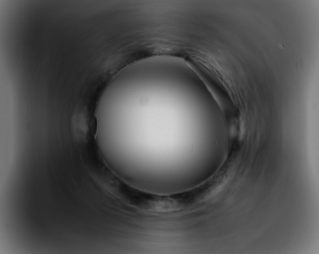 X0000092210215200709210955