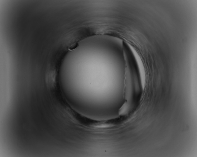 X0000092210219200709210955