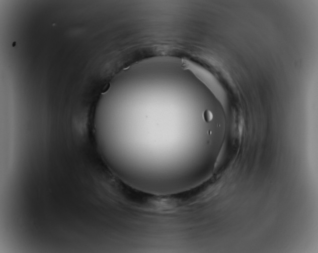 X0000092210221200709210955