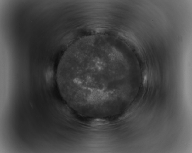 X0000092210222200709210955