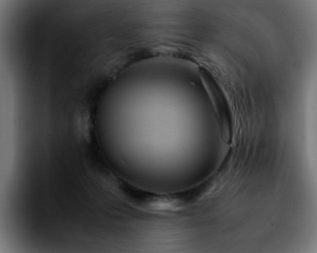 X0000092210223200709210955