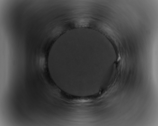 X0000092210224200709210955