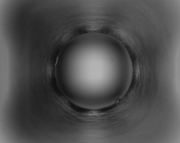 X0000092210227200709210955