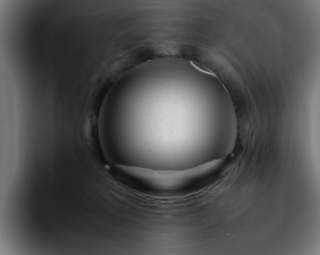 X0000092210229200709210955