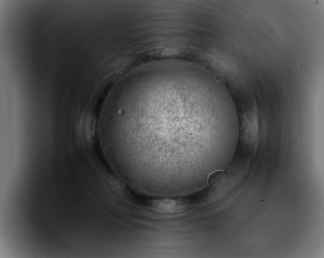 X0000092210230200709210955