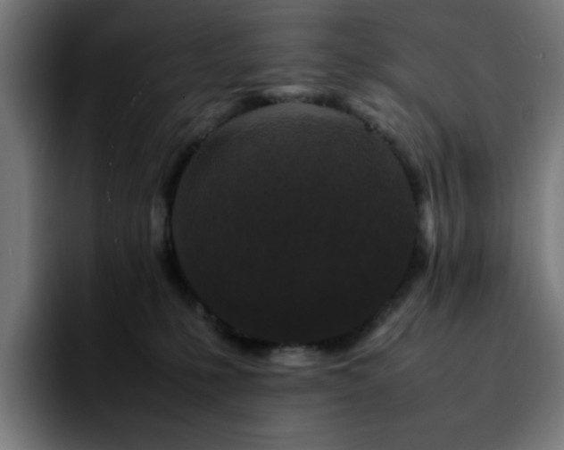 X0000092210231200709210955