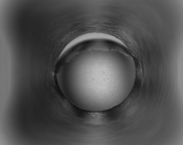 X0000092210233200709210955