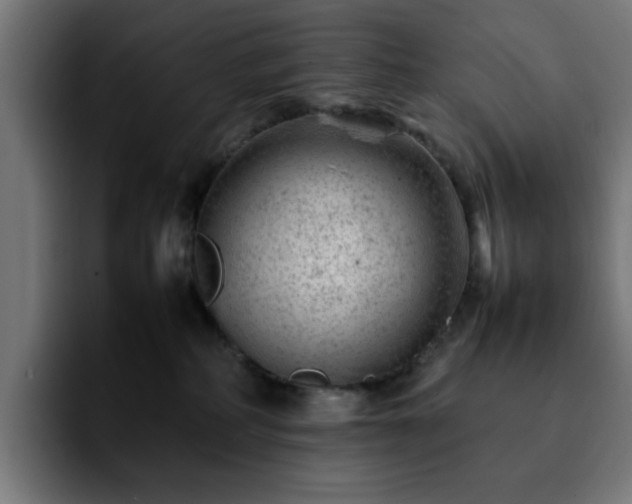 X0000092210234200709210955