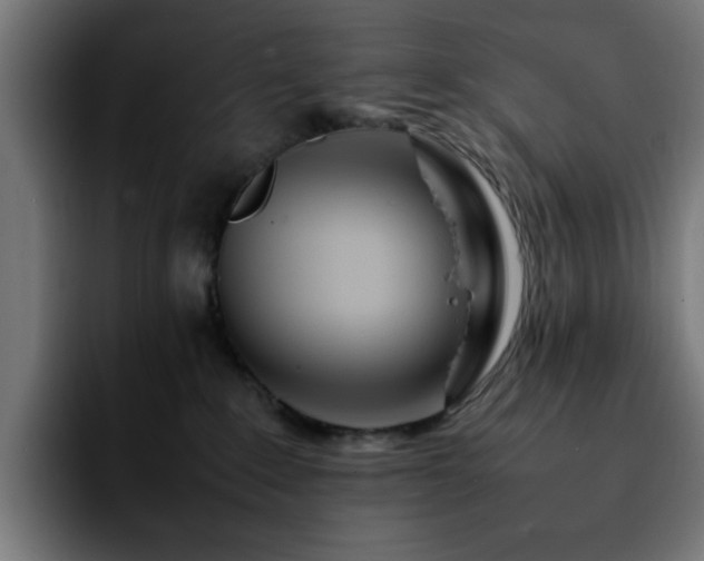 X0000092210235200709210955