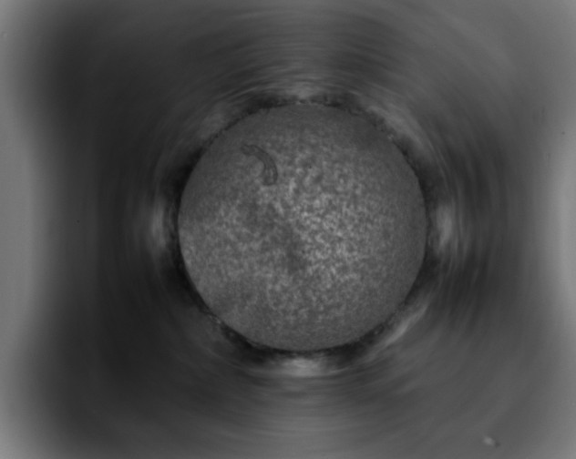 X0000092210236200709210955