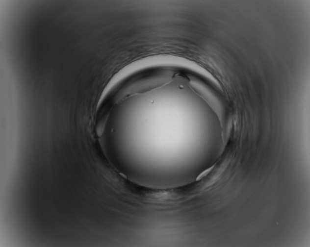 X0000092210237200709210955