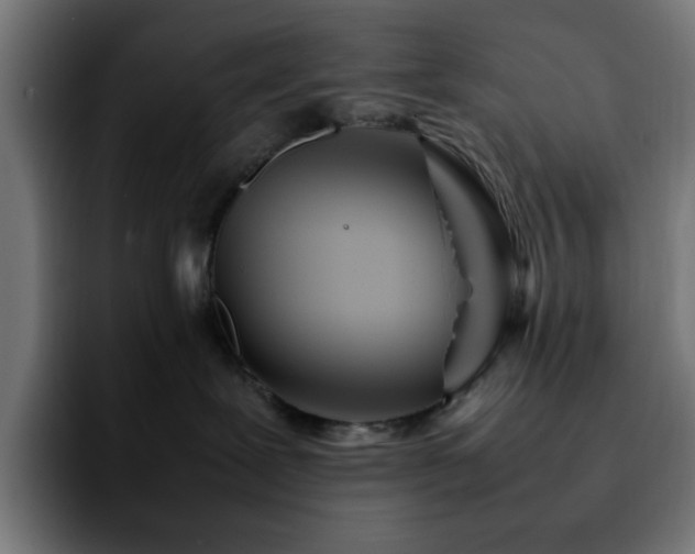 X0000092210239200709210955