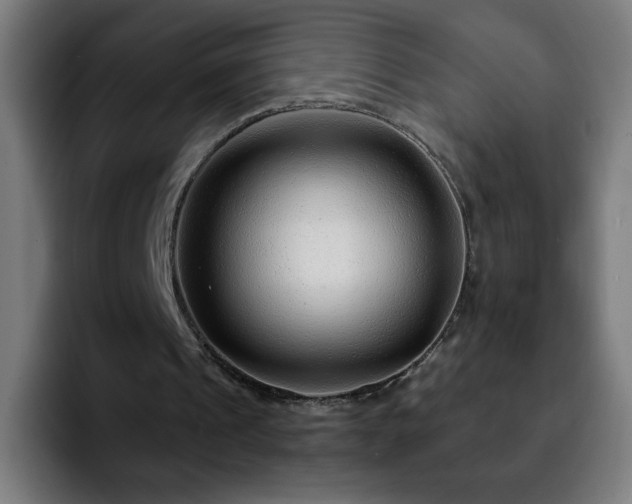 X0000092210241200709210955