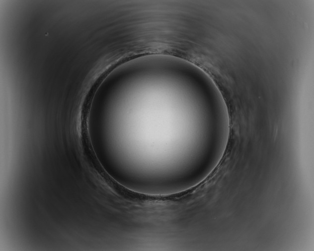 X0000092210242200709210955