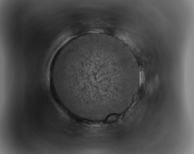 X0000092210243200709210955