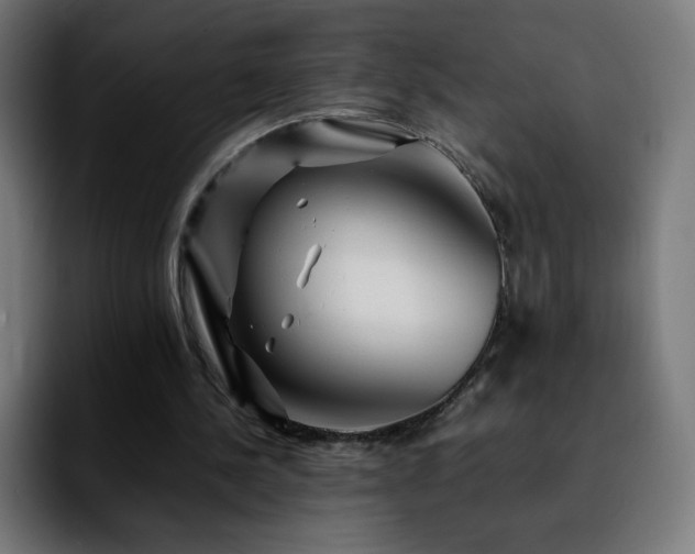 X0000092210244200709210955