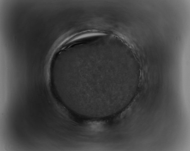 X0000092210247200709210955