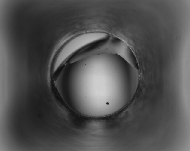 X0000092210248200709210955