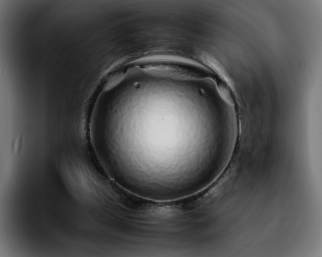 X0000092210249200709210955