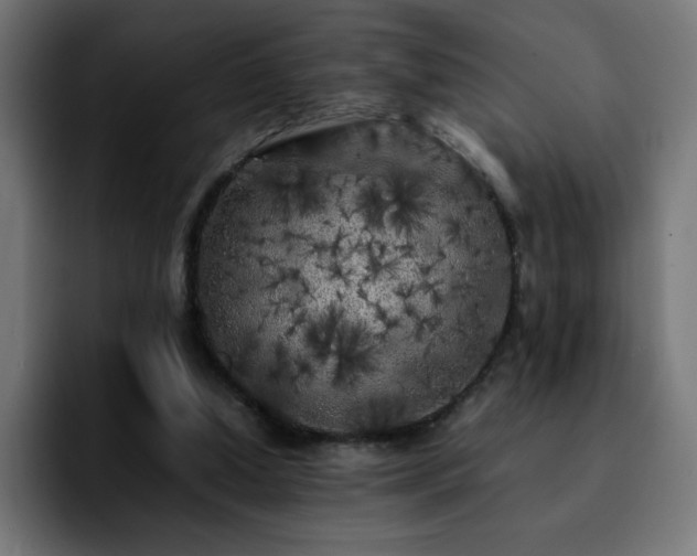 X0000092210250200709210955