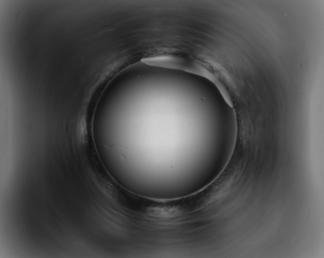 X0000092210251200709210955